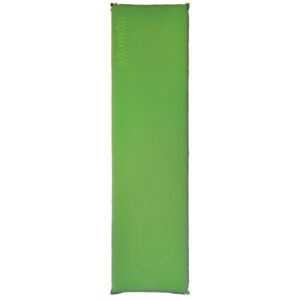 Самонадувающийся коврик Pinguin Horn 30 Long (Green)